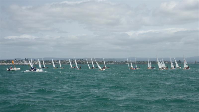 Day 1 - P class - Tauranga Cup - Tauranga Yacht and Power Boat Club - January 2019 - photo © Tauranga Yacht and Power Boat Club