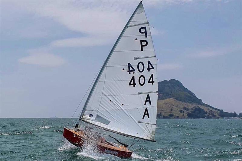 Tim Howse -  P class - Tanner Cup - Tauranga Yacht and Power Boat Club - January 2019 - photo © Tauranga Yacht and Power Boat Club