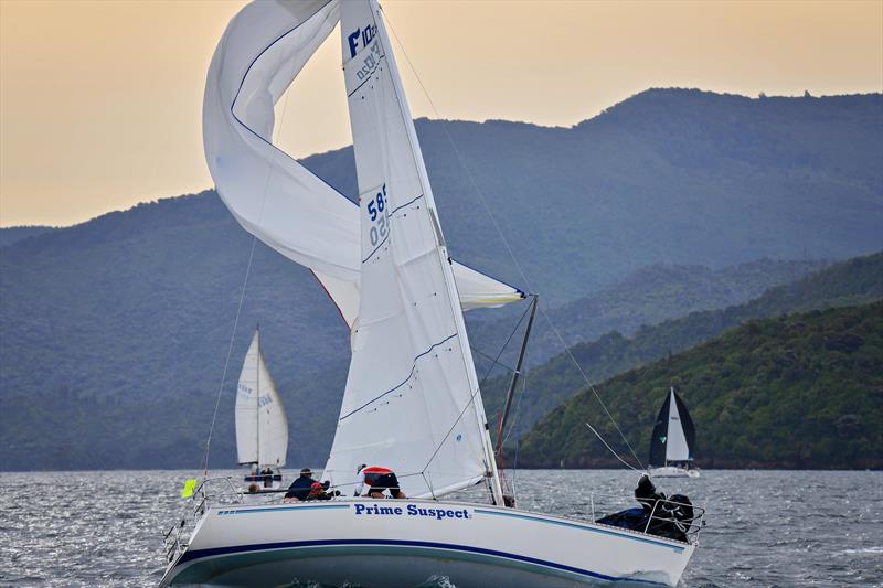 Prime Suspect - Giesen New Year regatta - Waikawa Boating Club - January 2020 photo copyright Karmyn Ingram Photography taken at Waikawa Boating Club and featuring the  class