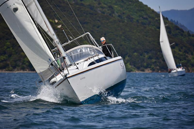 Satu - Giesen New Year regatta - Waikawa Boating Club - January 2020 photo copyright Karmyn Ingram Photography taken at Waikawa Boating Club and featuring the  class