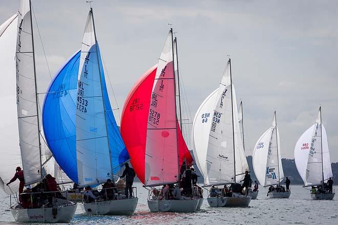 BMW J24 World Championships © David Branigan/Oceansport http://www.oceansport.ie/