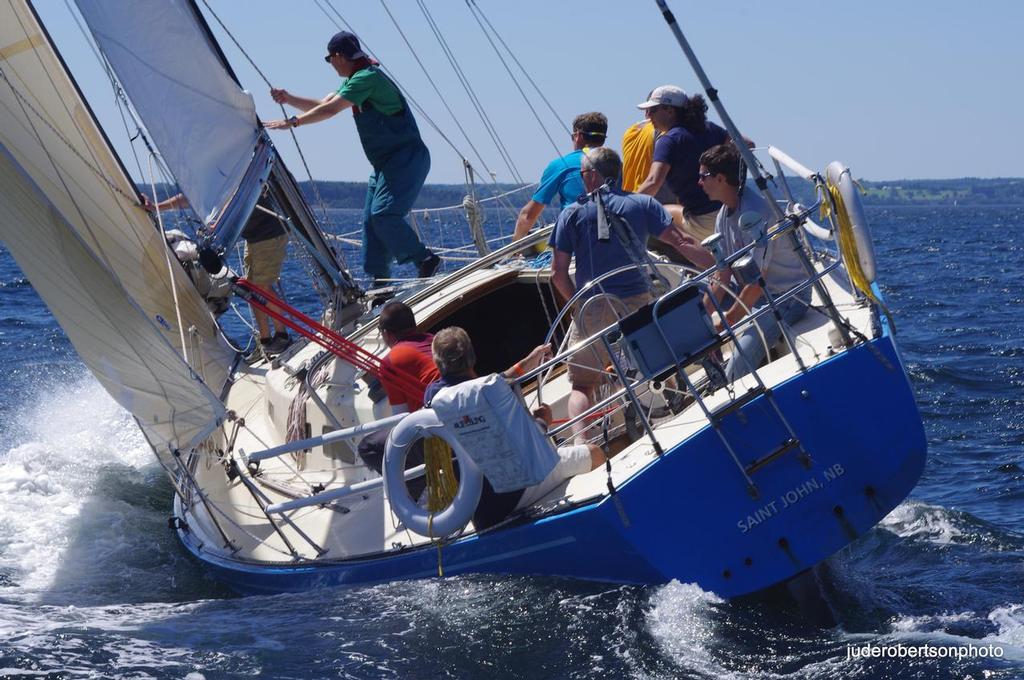 Chester Race Week 2013 - Alpha 1 & 2 races August 15 ©  Jude Robertson http://juderobertsonphoto.wix.com/pix