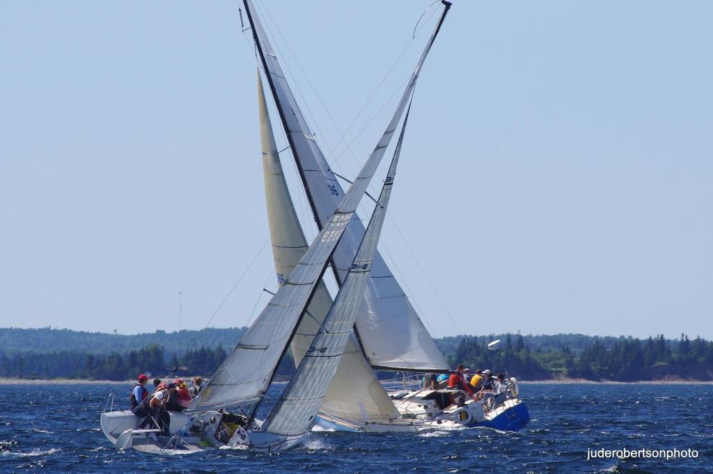 Chester Race Week 2013 - Alpha 1 & 2 races August 15 ©  Jude Robertson http://juderobertsonphoto.wix.com/pix