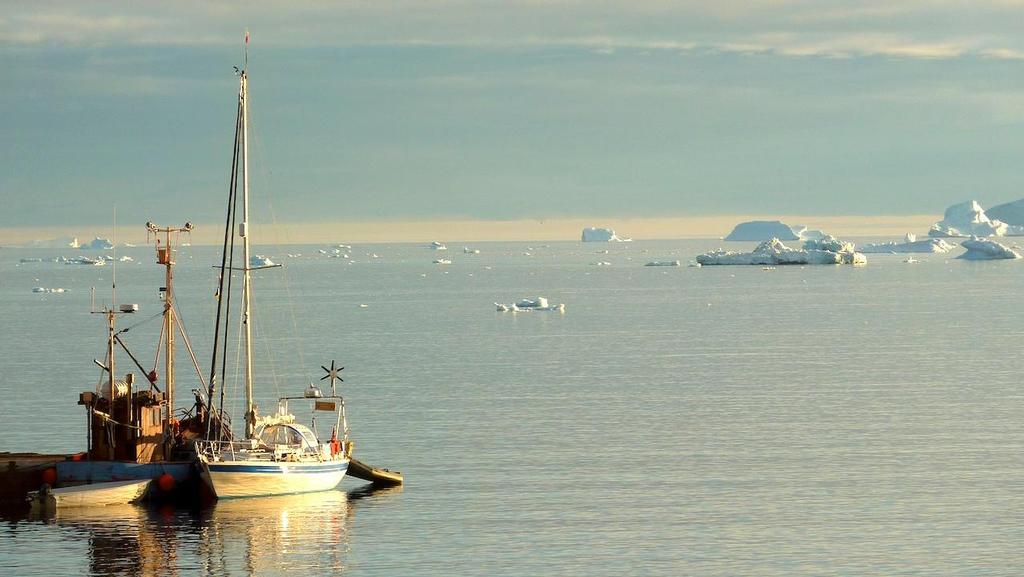 Dodo's Delight in the Arctic photo copyright  SW taken at  and featuring the  class