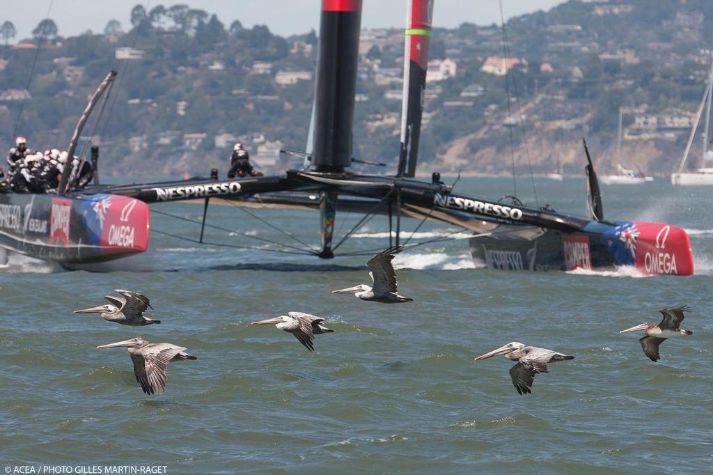 24/08/2013 - San Francisco (USA,CA) - 34th America's Cup - Louis Vuitton Cup Final, Day 6, Emirates Team New Zealand Vs Luna Rossa photo copyright ACEA - Photo Gilles Martin-Raget http://photo.americascup.com/ taken at  and featuring the  class