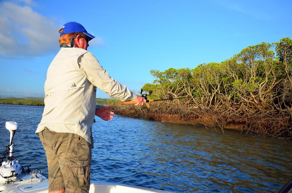Working steep banks around mid-tide with mid-depth divers is a creek way to pull barra and jacks.  Make sure you're getting your lures right into the back of the fallen timber though! photo copyright Lee Brake taken at  and featuring the  class