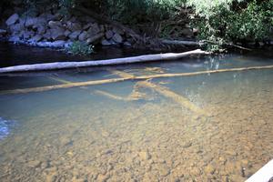 In situations where the water is clear, flurocarbon leader is highly recommended. photo copyright Jarrod Day taken at  and featuring the  class