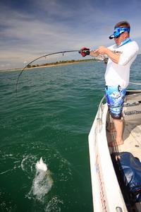 Fish such as trevally can shy to nylon leaders, flurocarbon leaders are recommended. photo copyright Jarrod Day taken at  and featuring the  class