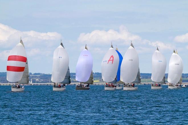 Boat of the day, Phoenix leads the fleet with Challenge, Cinquante and Audacious close behind - Morris Finance Sydney 38 Short Course Regatta 2013 © Teri Dodds http://www.teridodds.com