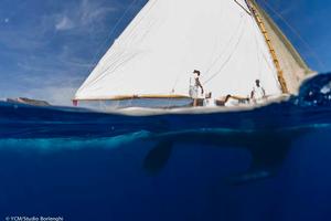 Monaco, 13/09/13
Monaco Classic Week 2013
Day 2
Photo: Â© Stefano Gattini/YCM photo copyright YCM/Studio Borlenghi taken at  and featuring the  class