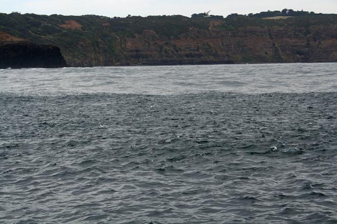 When schools of salmon are busting the surface, its popper time. © Jarrod Day