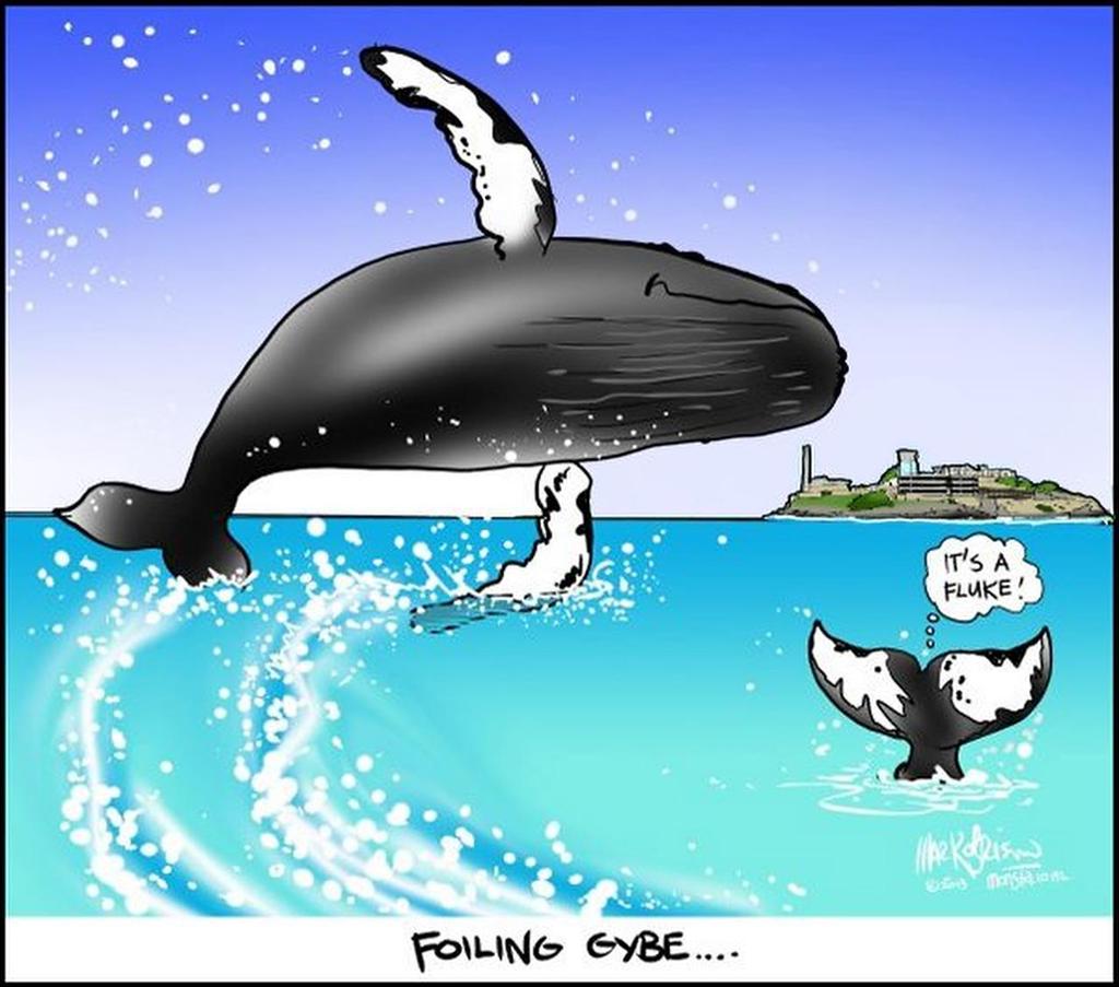 Day 11 - A whale on the course © Monsta http://www.monsta.co.nz