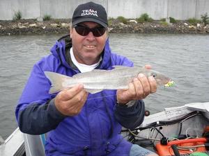 Alt 6Another 38cm whiting on a blade in shallow water. Just remember to work them very slowly photo copyright Jarrod Day taken at  and featuring the  class