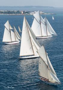 Régates Royales Trophée Panerai photo copyright  James Robinson Taylor taken at  and featuring the  class
