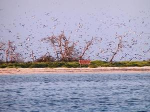 Easy Go - Dry Tortugas photo copyright  SW taken at  and featuring the  class