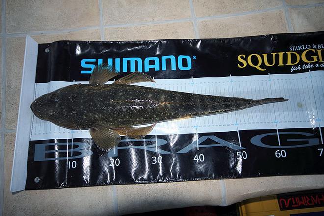 Brag mats are a great way to get an exact mesurement of your catch. © Jarrod Day