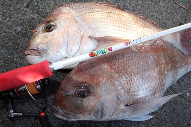 Light tackle jigging is all the craze now. © Jarrod Day