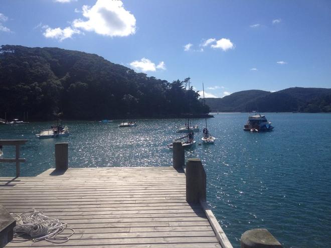 The Elliott 7's moored off Lidgard House wharf, Kawau Island ready for another days training/racing © Sara Tucker