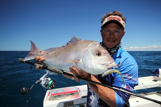 Snapper on lures, you betcha! © Jarrod Day