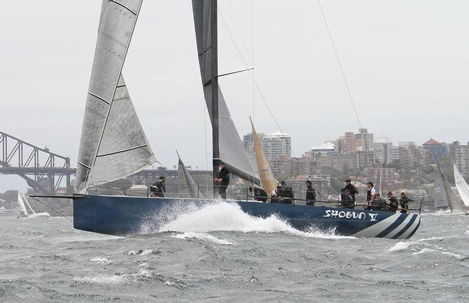 Shogun V © Dale Lorimer