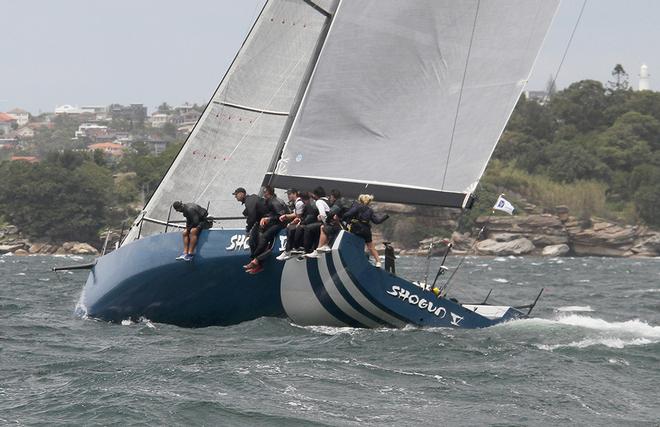 Shogun V © Dale Lorimer