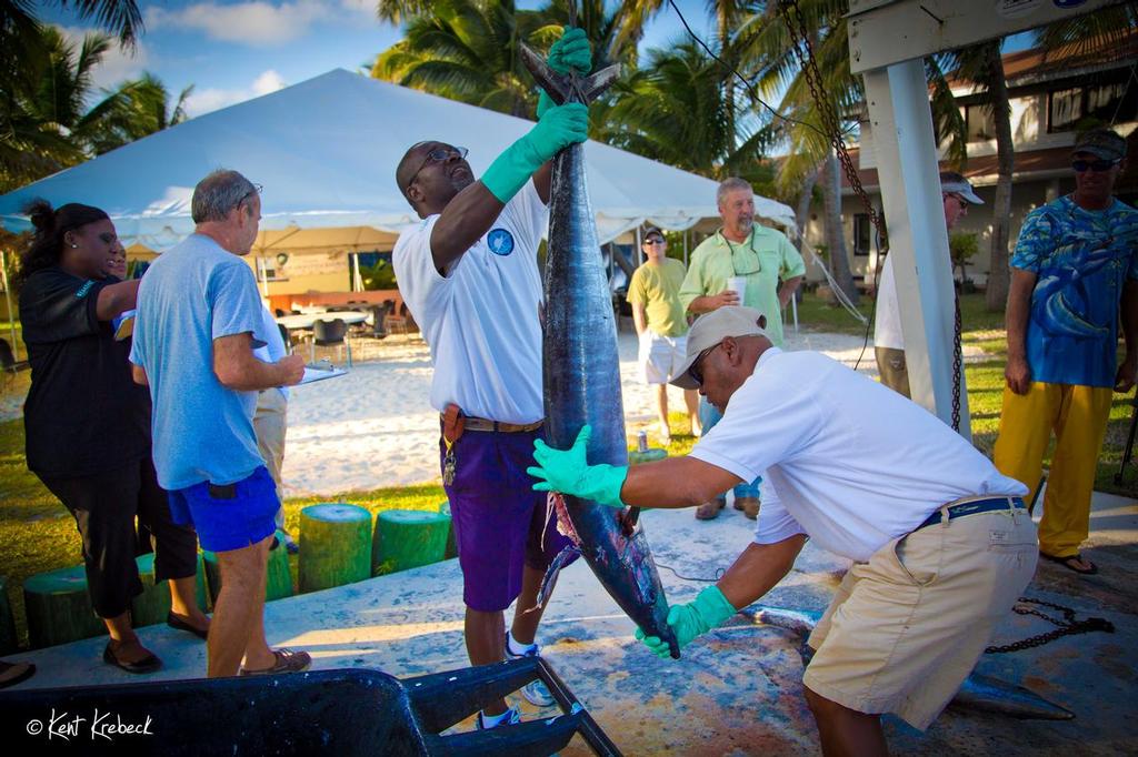 Wahoo Weigh-In photo copyright Kent Krebeck taken at  and featuring the  class