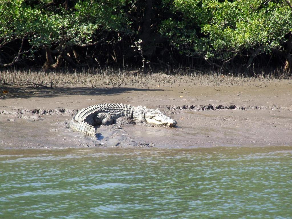 There's a reason why people don't fish in the water at Seaforth!  This is it! © Lee Brake