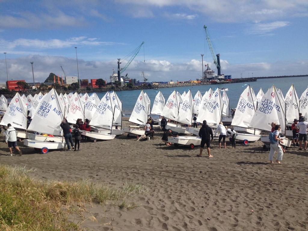 Open Fleet day 1 - North Island Optimist Championships, Day 1 photo copyright Angus Haslett taken at  and featuring the  class