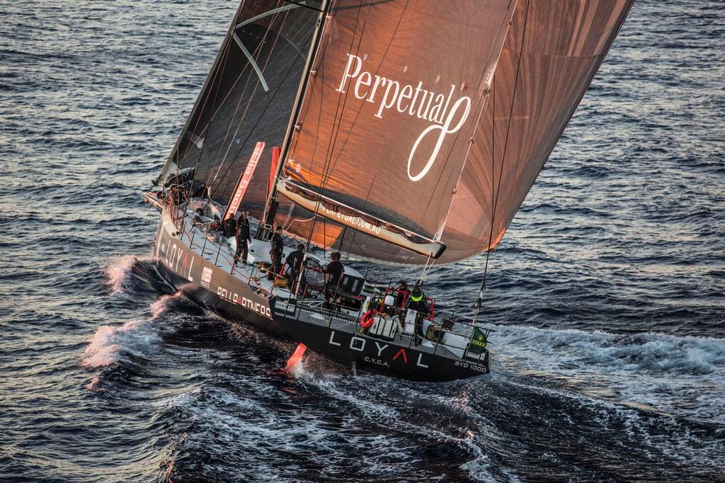 Perpetual LOYAL will be back again for next year's Rolex Sydney Hobart photo copyright  Rolex/Daniel Forster http://www.regattanews.com taken at  and featuring the  class