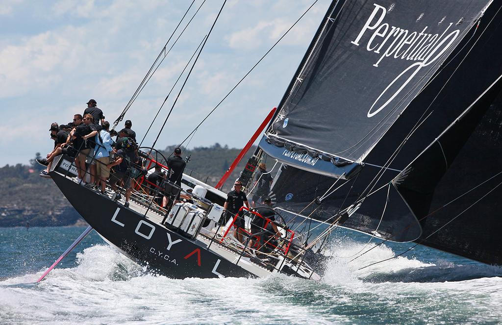 Perpetual Loyal seconds before her A sail rips from side to side. © Crosbie Lorimer http://www.crosbielorimer.com