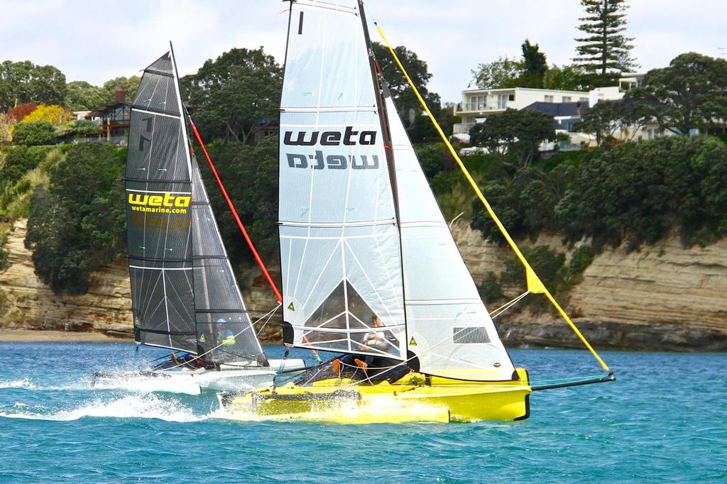 The Weta will be the second class sailed at the 2017 World Masters Games photo copyright Richard Gladwell www.photosport.co.nz taken at  and featuring the  class