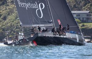 Perpetual Loyal upwind photo copyright Dale Lorimer taken at  and featuring the  class