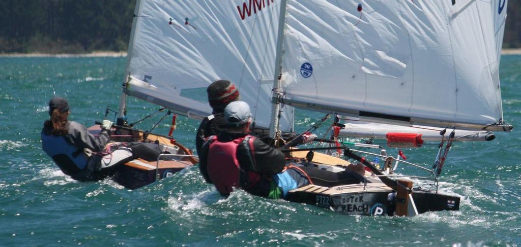 2014 Tanner Cup, Tauranga &copy; SW