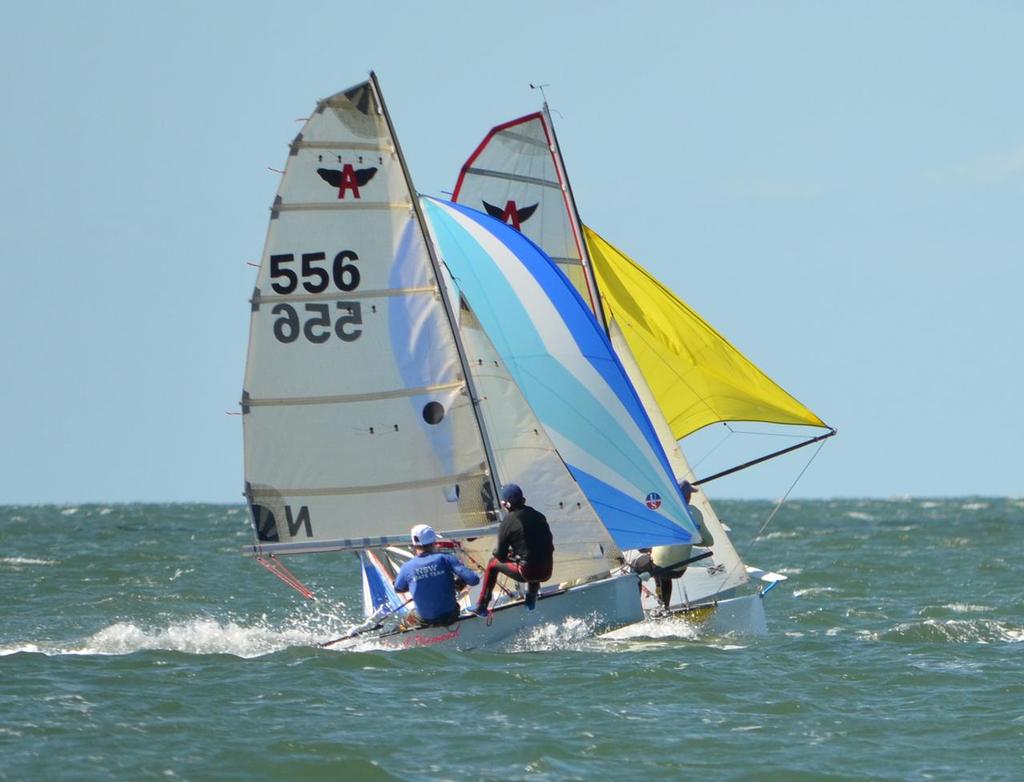 Flying Ant Nationals 2014 © Bronwyn Clements