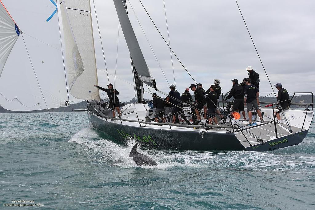  - Day 1, 2014 Bay of Islands Sailing Week photo copyright  Will Calver - Ocean Photography http://www.oceanphotography.co.nz/ taken at  and featuring the  class