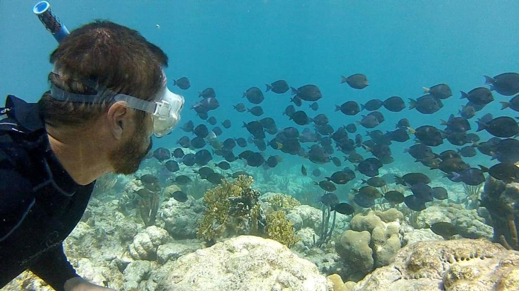 Paul Shard snorkeling on tropical reefs. Cruising involves lots of physical activity so appetites can increase. © Sheryl Shard