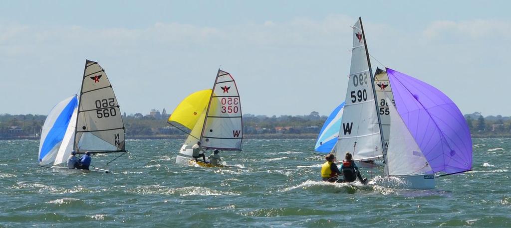 Flying Ant Nationals 2014 © Bronwyn Clements