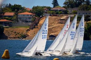 AUS 203 Tatsu - 2014 Ted Albert Memorial Regatta photo copyright Jonny Fullerton taken at  and featuring the  class