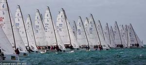 J/70 action at Quantum Key West 2014 photo copyright Onne Vanderwal taken at  and featuring the  class
