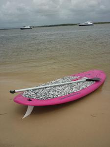 SUP with Fin Showing photo copyright Superior Jetties www.superiorjetties.com taken at  and featuring the  class