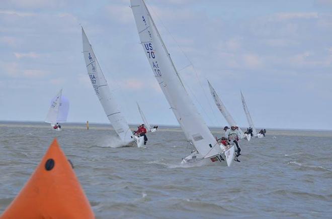 2014 J/22 Midwinter Championship  © Christopher Howell