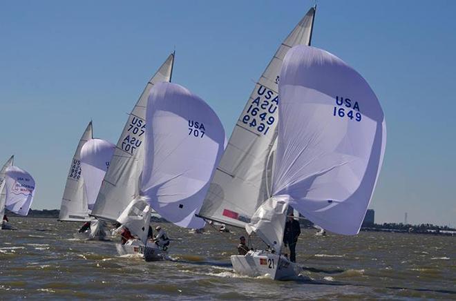 2014 J/22 Midwinter Championship  © Christopher Howell