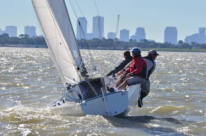 2014 J/22 Midwinter Championship  © Christopher Howell