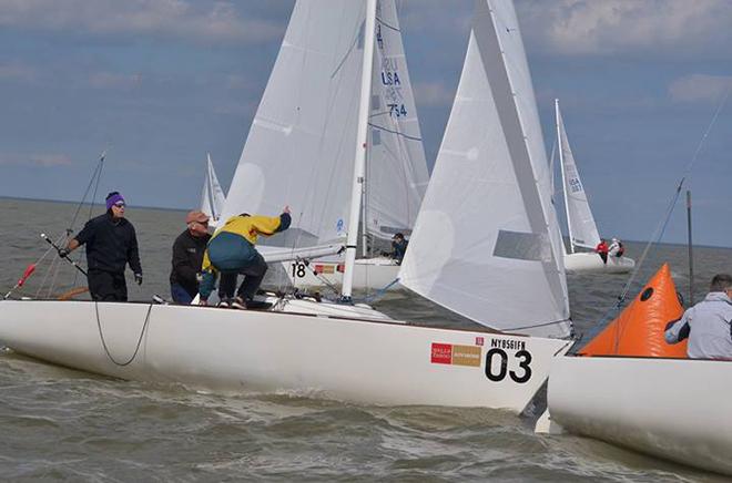 2014 J/22 Midwinter Championship  © Christopher Howell