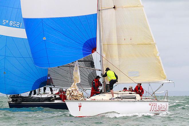 The Merak. Sailed well on the day. Go the Bora… - Club Marine Series © Teri Dodds http://www.teridodds.com