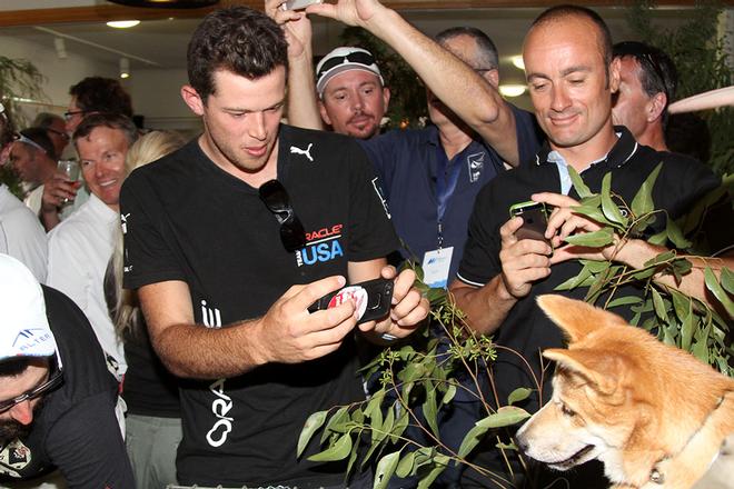 Welcome Cocktail Party surprise guests from local Jirrahlinga Koala and Wildlife Sanctuary © Teri Dodds