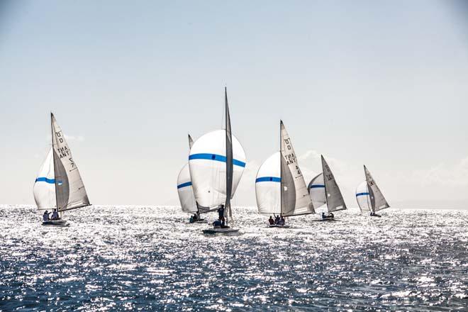 Antigua Dragon YC Challenge 2014 © Shirley O’Hara Falcone