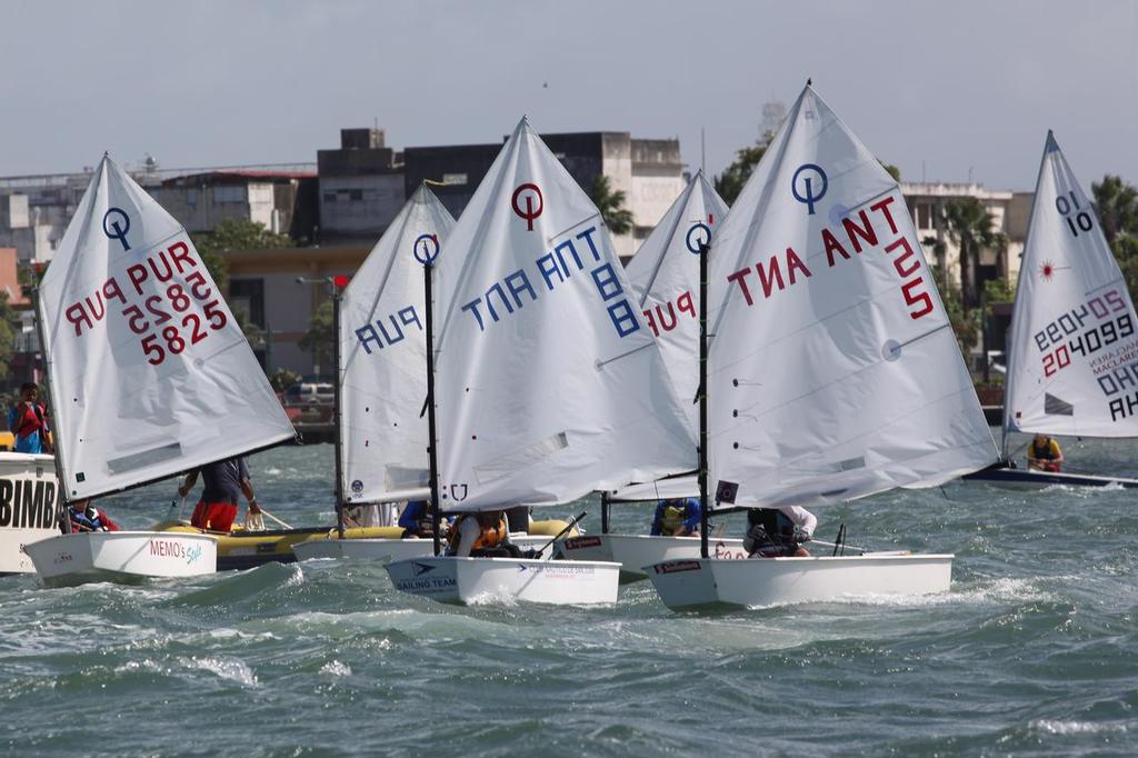 Close competition in the Optimist class on San Juan Bay. © Carlos Lee