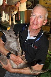 Sailing: Gill Melges 24 World Championships 2014, Royal Geelong Yacht Club, Geelong (Aus), 28/01/2014. Photo; Teri Dodds. Welcome Cocktail Party. Riccardo Simoneschi pats a dingo from Jirrahlinga Koala and Wildlife Sanctuary. photo copyright Teri Dodds taken at  and featuring the  class