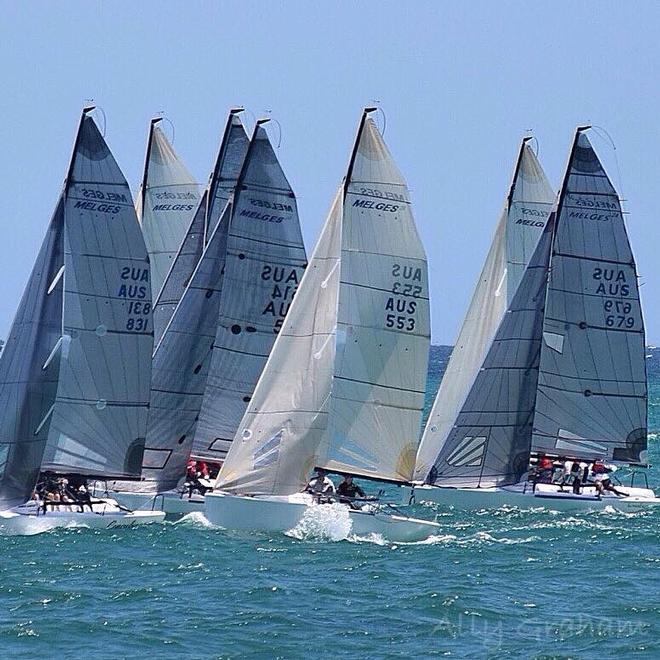 Melges 24 Christmas Sprint Series © Ally Graham